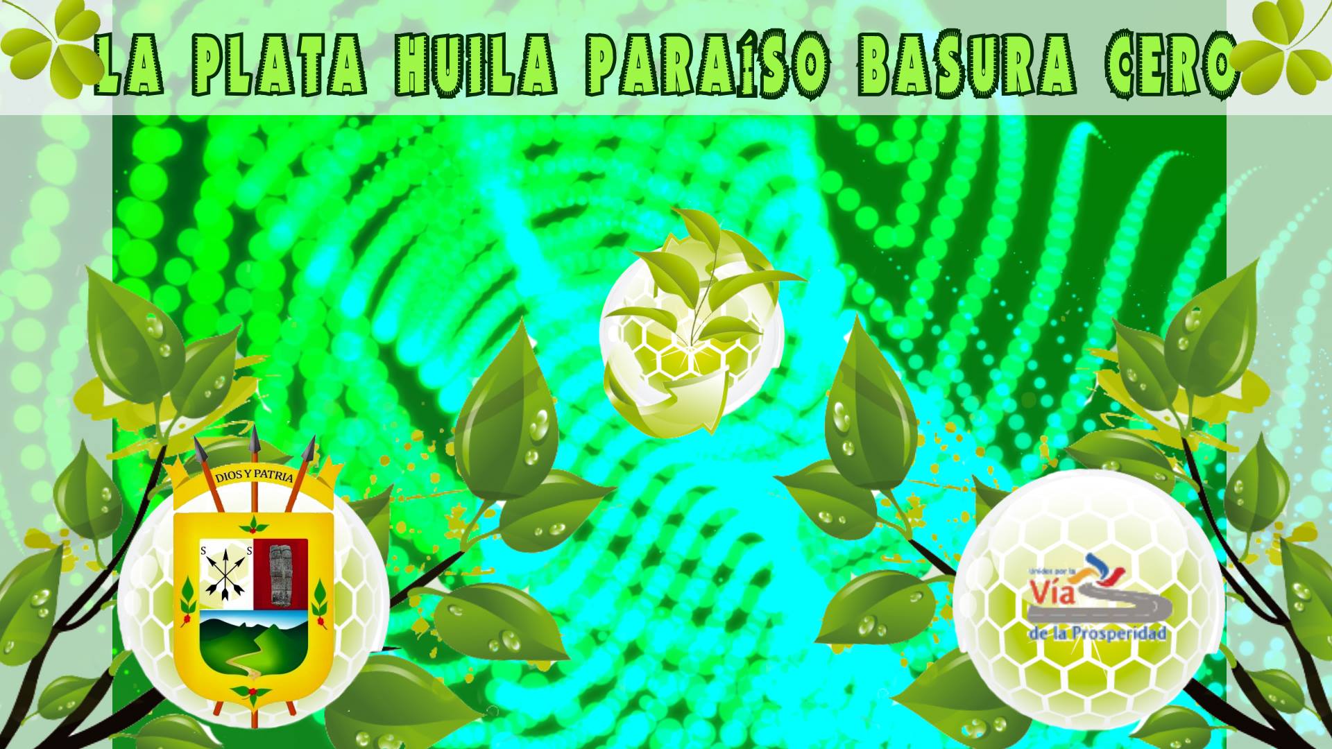 paraiso basura cero